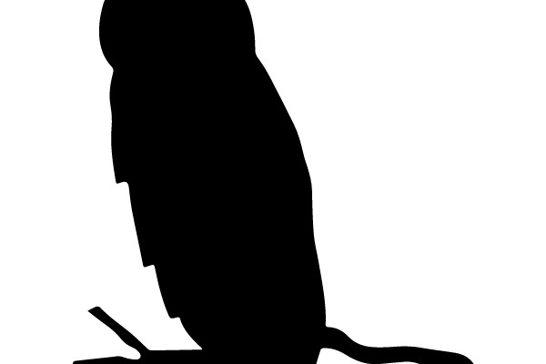 Silhouette of an Owl