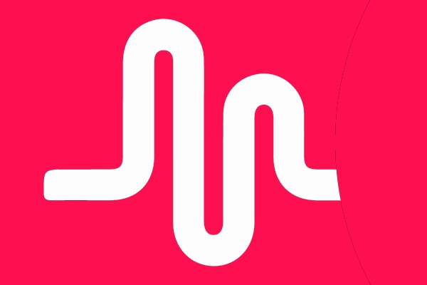 Signal Indicator Icon
