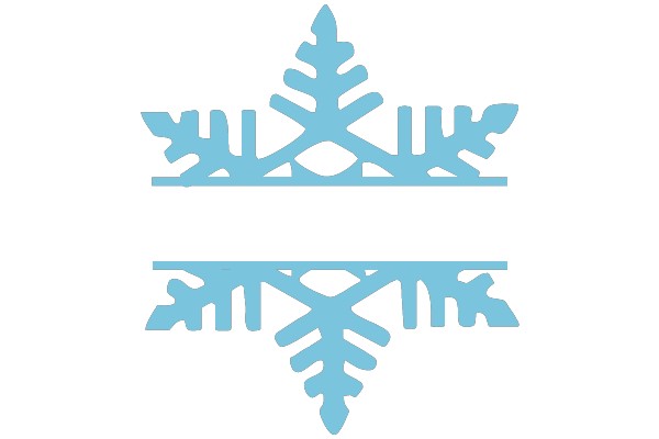 Snowflake Decorations
