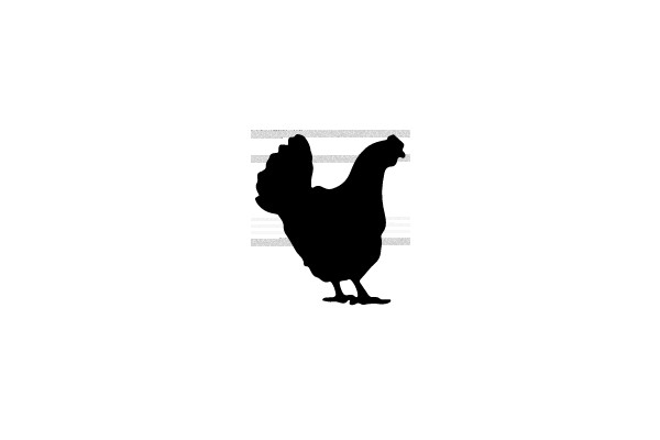 Silhouette of a Rooster