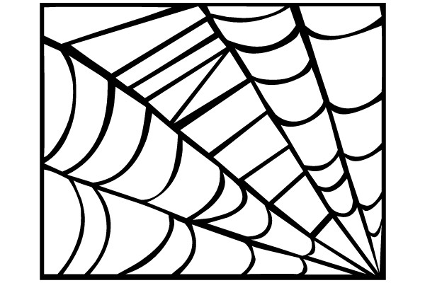 Spider Web Illustration