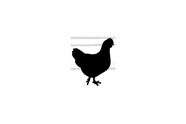 Silhouette of a Chicken