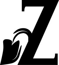Stylized Black and White Logo of the Letter 'Z' with a Curved Design Element