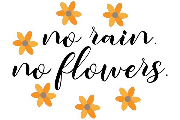 No Rain. No Flowers.