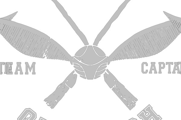Hogwarts Quidditch Team Captain Badge