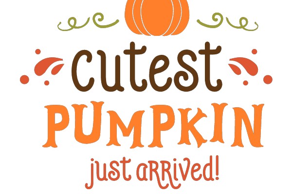 Cutest Pumpkin Just Arrived!