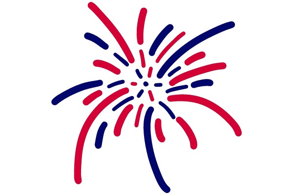 Fireworks Display