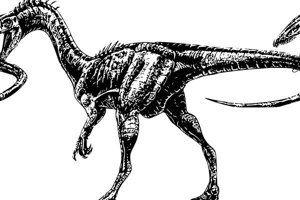 Dinosaurs in a Lost World