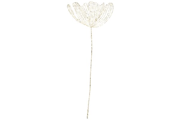 A Single Flower in a Field of White