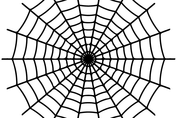 Spider Web Diagram