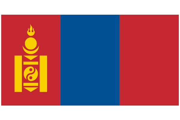 Vibrant Flag with Symbolic Designs
