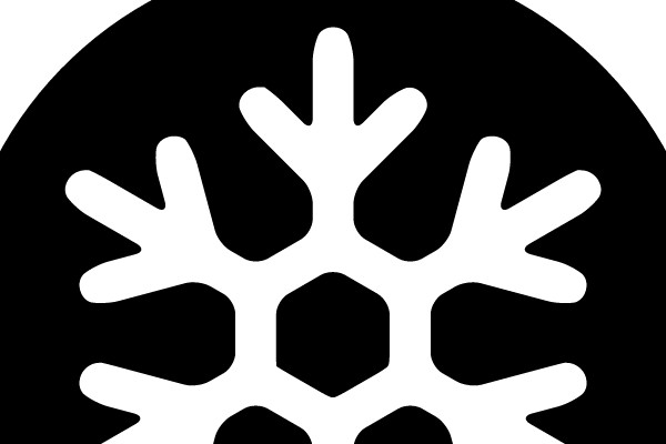 Snowflake Christmas Ornament