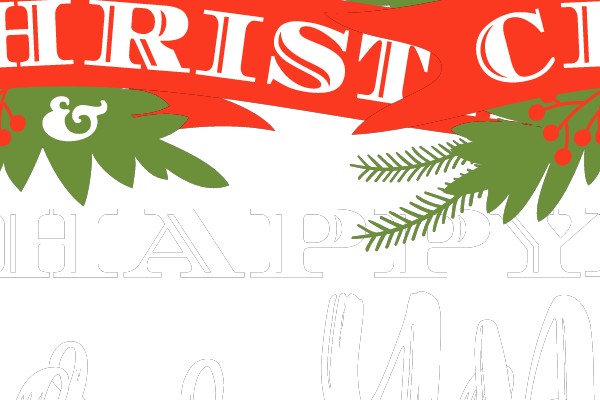 Merry Christmas & Happy New Year 2020
