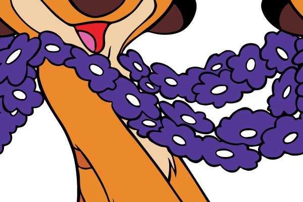Tutu the Cheerful Meerkat Celebration