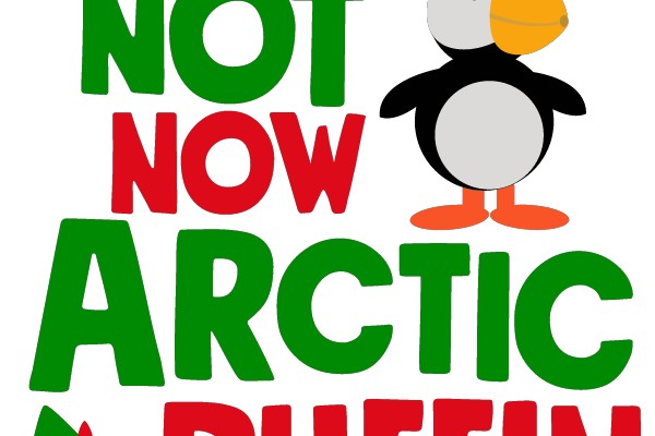 Not Now Arctic Puffin