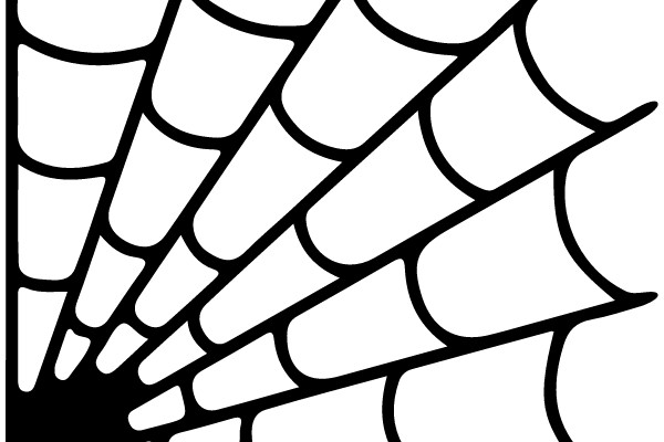 Spider Web Diagram