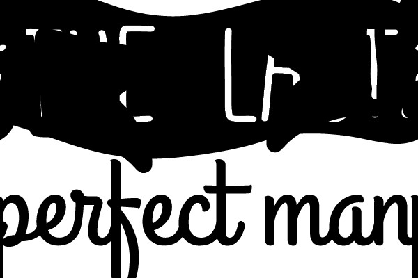The Last Perfect Man