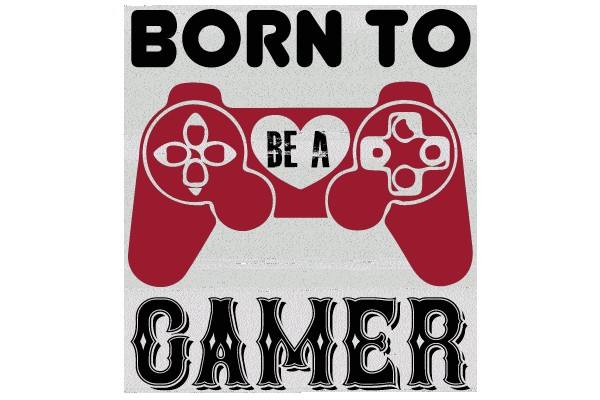 Born to Be a Gamer