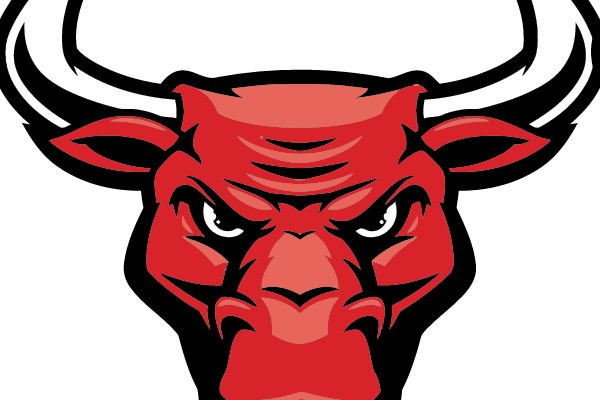 Bull's Head