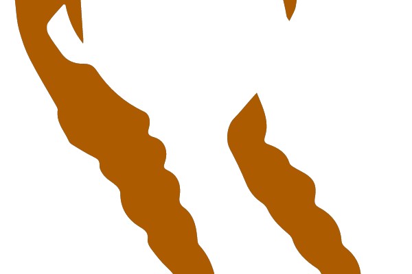 Silhouette of a Redhead with Long Braids