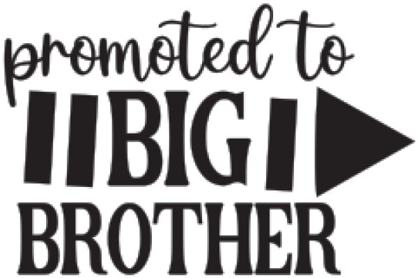 Promoted to Big Brother: A Journey of Growth and Responsibility
