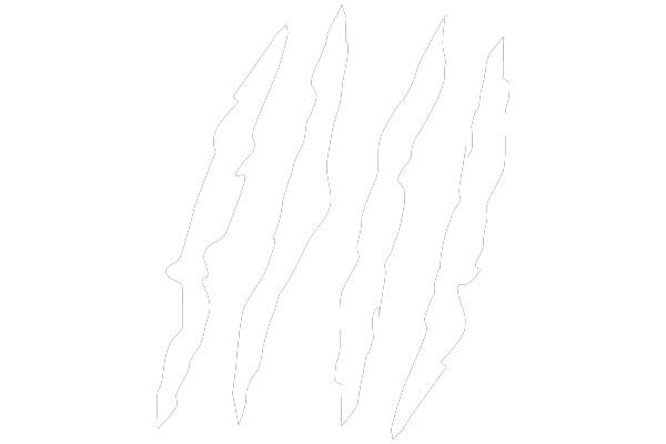 Abstract White Lines on Black Background