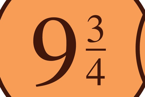 Visual Representation of Numerical Fraction