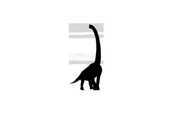 Silhouette of a Long-necked Dinosaurs