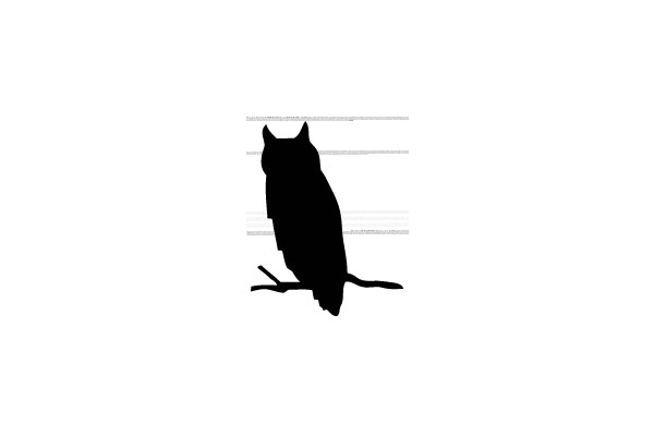 Silhouette of an Owl