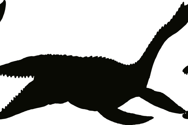Silhouette of a Prehistoric Marine Reptile