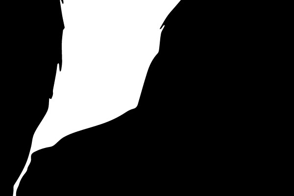 Silhouette of a Lion