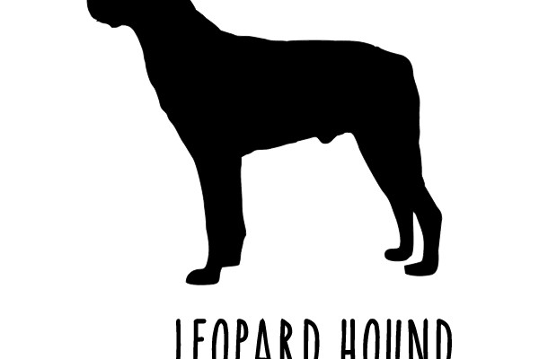 Leopard Hound