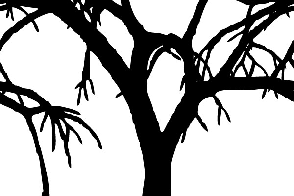Silhouette of a Bare Tree