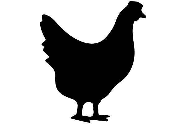 Silhouette of a Chicken