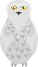 A Friendly Owl with a Yellow Eye and Gray Feathers