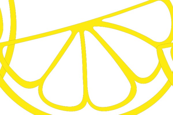 Citrus Slice Outline