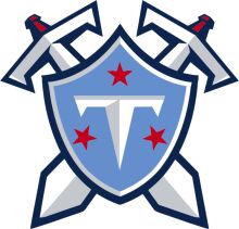 Vintage-Inspired Logo Design: A Shield with a Star and Arrows