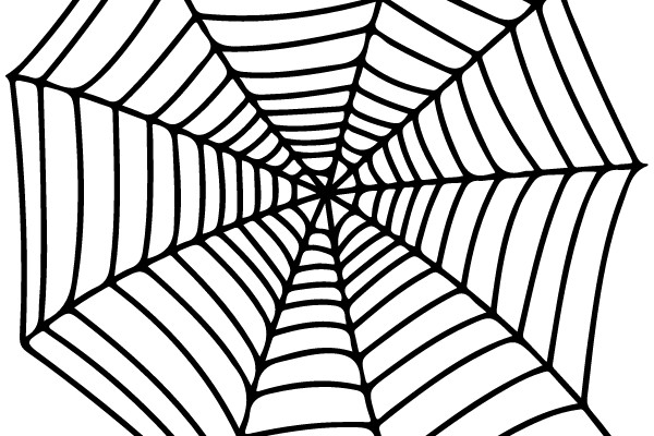 Spider Web