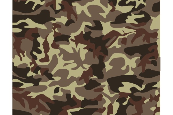 Camouflage Pattern