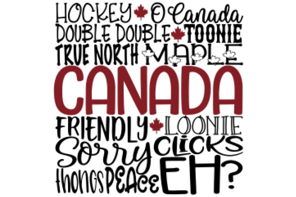 A Canadian's Guide to Friendly Apologies and Eh?