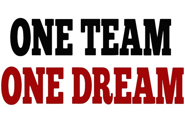 ONE TEAM ONE DREAM