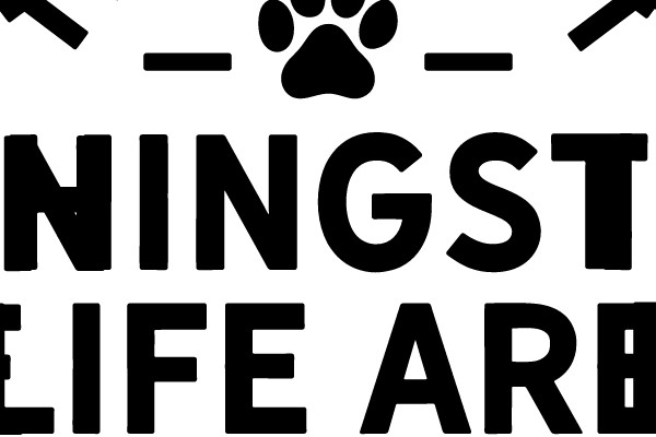 The Best Things In Life Are Rescued