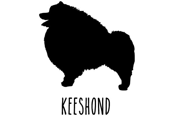 KEESHOND