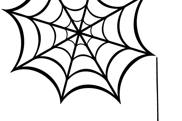 Spooky Spider Web