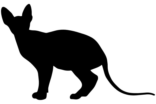 Silhouette of a Fox