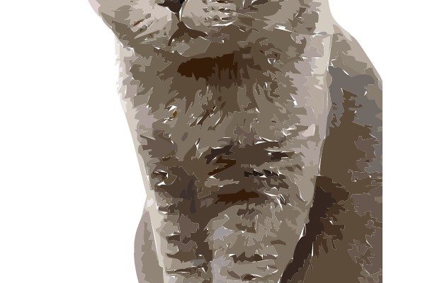 Portrait of a Curious Grey Cat