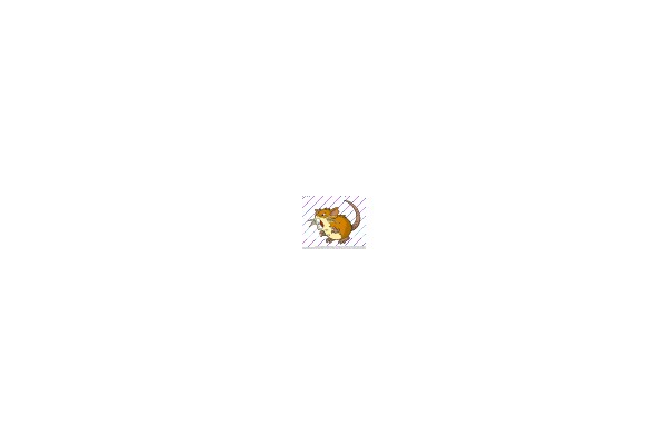 A Mouse and a Fish