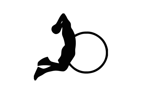 Silhouette of a Leaping Horse