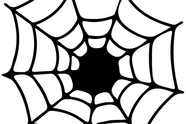 Spindle Web