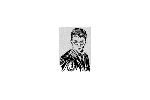 The Artistic Portrait of a Young Wizard.